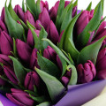 Букет из 25 фиолетовых тюльпанов