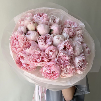 Букет из 25 нежно-розовых пионов "Сара Бернар"