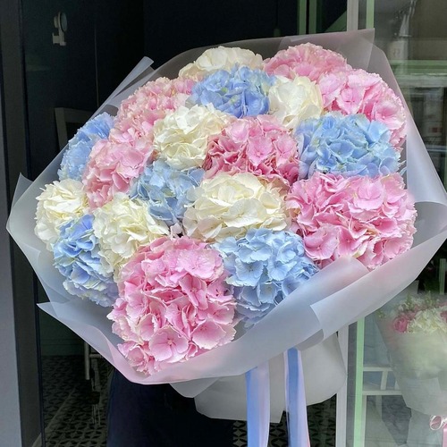 Букет из 19 нежных гортензий