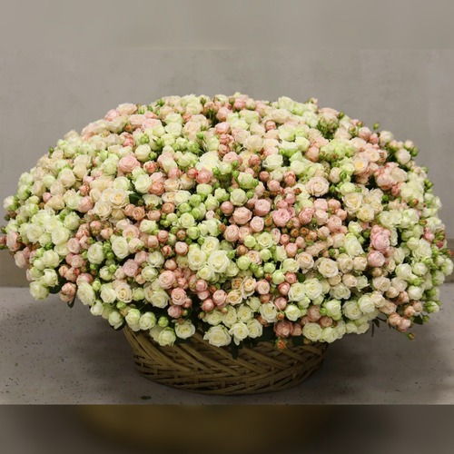 Корзина из 301 кустовой розы "Бомбастик"
