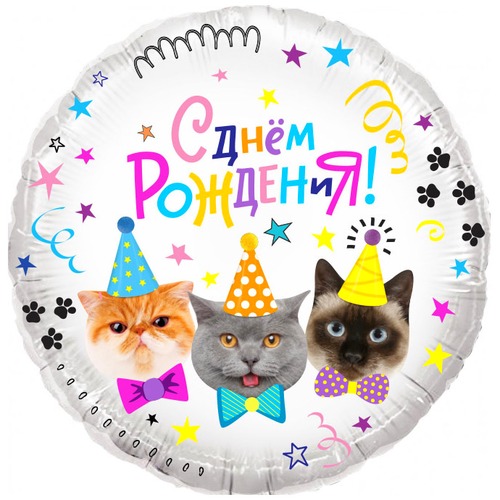 Круг (18''/46 см), С Днем Рождения! (Котики)