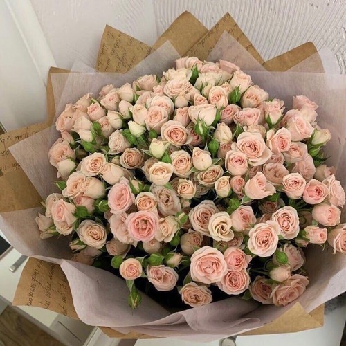 Букет из 49 кустовых розочек 