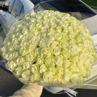 Букет из 101 белой розы "Аваланж" (Россия)
