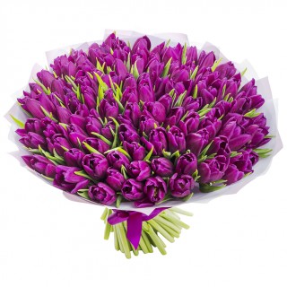 Букет из 101 фиолетового тюльпана