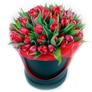 Коробка из 51 красного пионовидного тюльпана