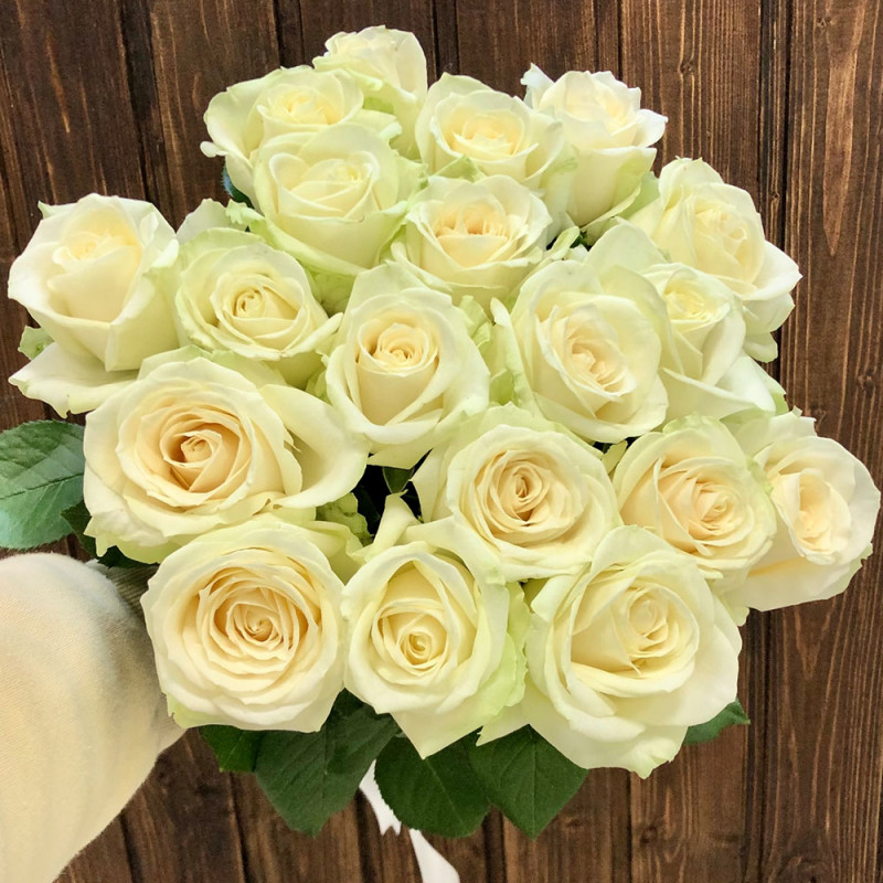 Букет из 19 белых роз "Аваланж" (Россия)