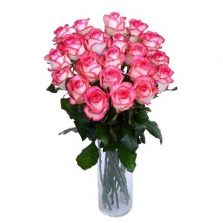 Букет из 25 роз "Джамиля" (Россия)
