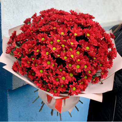 Букет из 19 красных хризантем