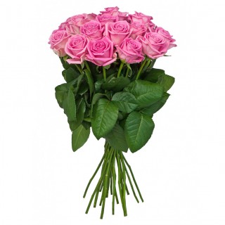 Букет из 19 розовых роз "Аква" (Россия)