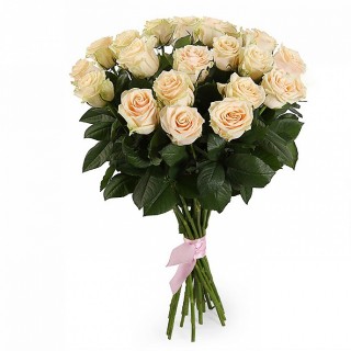 Букет из 27 кремовых роз "Талея" (Россия)