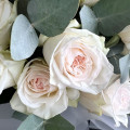 Букет из 19 пионовидных роз "White Ohara"