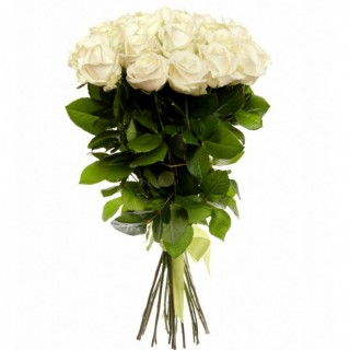Букет из 29 белых роз "Аваланж" (Россия)
