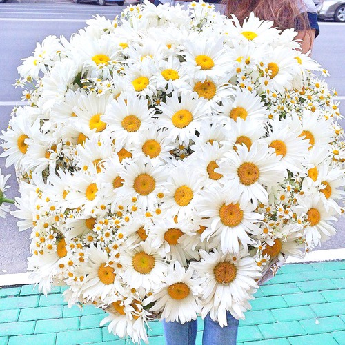Букет микс из ромашек