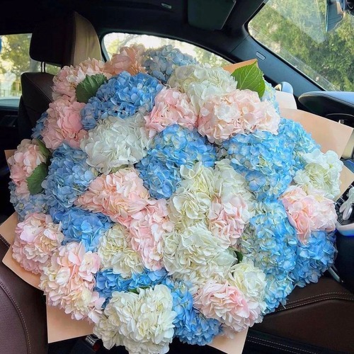 Букет из 37 ассорти кенийских гортензий