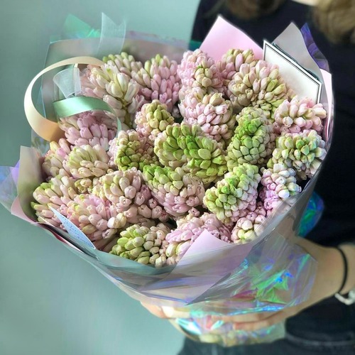 Букет из 25 розовых гиацинтов