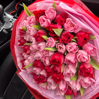 Букет из 51 красно-розового тюльпана