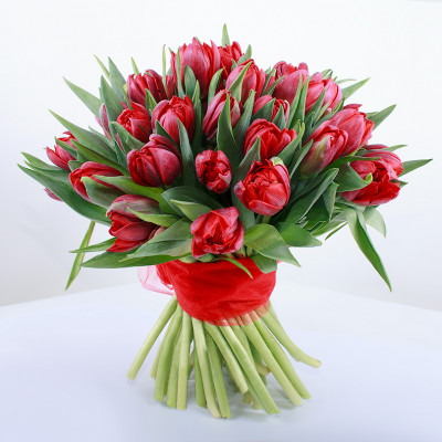 Букет из 25 красных пионовидных тюльпанов