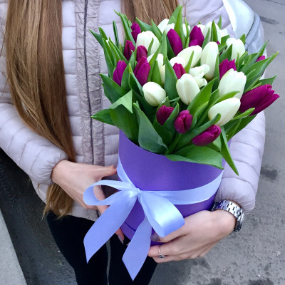 Букет из 51 бело-фиолетового тюльпана в коробке