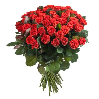 Букет из 55 красных роз "Эль Торо" (Россия)