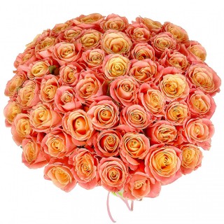 Букет из 55 персиковых роз "Мисс Пигги" (Россия)