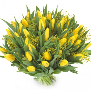 Букет из 49 жёлтых тюльпанов с мимозой