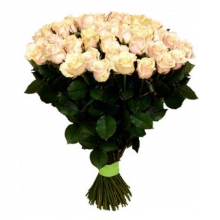 Букет из 75 кремовых роз "Талея" (Россия)