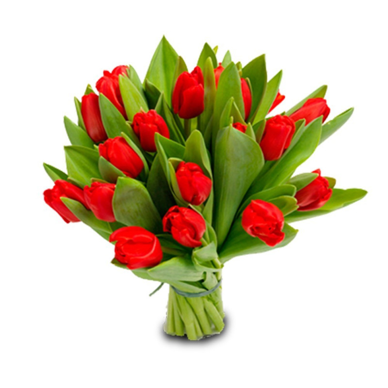Букет из 15 красных тюльпанов под ленту