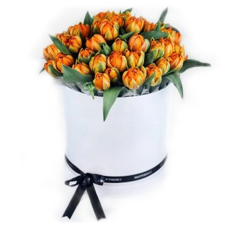 Коробка из 51 оранжевого пионовидного тюльпана