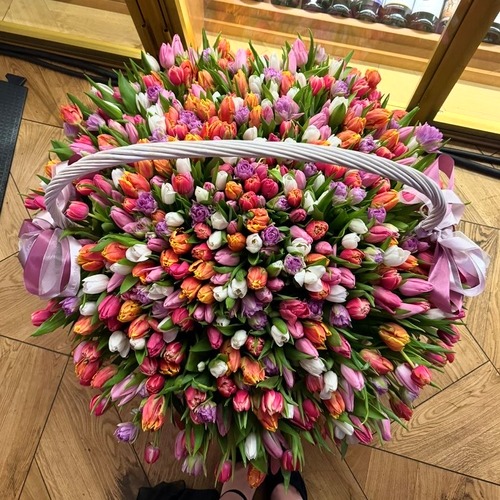 Корзина из 501 микс тюльпана