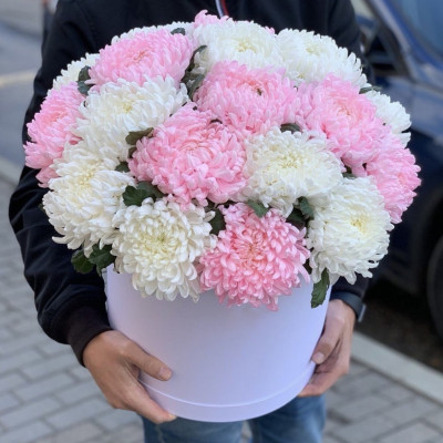 Коробка из 21 бело-розовых крупных хризантем