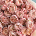 Букет из 19 кустовых пионовидных роз сорта "Джульетта"