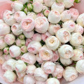 Букет из 19 пионовидных кустовых роз "Mansfield Park"