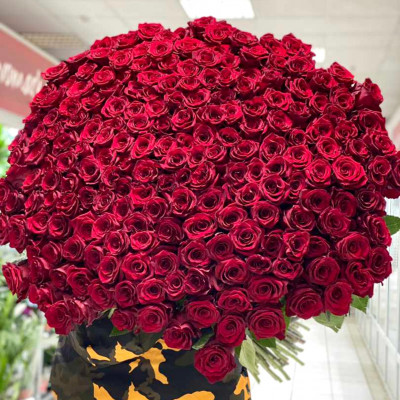 Букет из 201 красной розы "Эксплорер" (Эквадор)