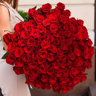 Букет из 101 красной розы "Эксплорер" (Эквадор)