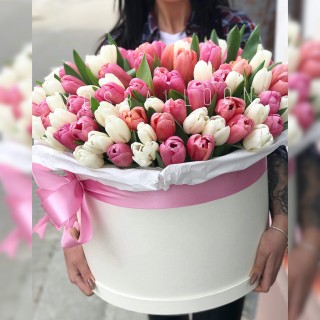 Коробка из 201 бело-розового тюльпана