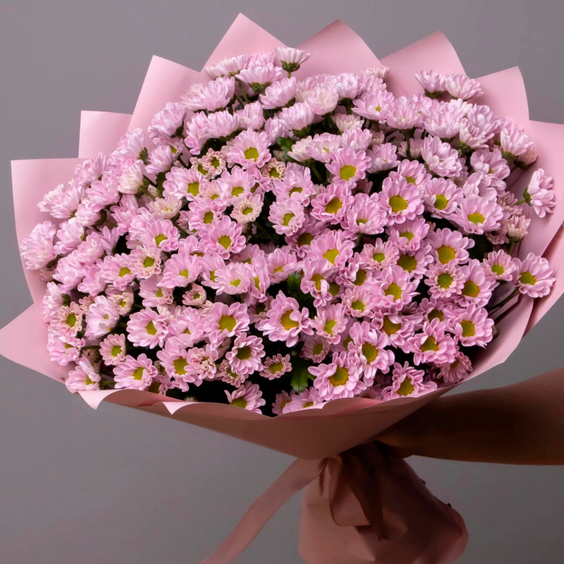 Букет из 49 мелких розовых хризантем