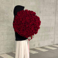 Букет из 151 красной розы "Эксплорер" (Эквадор)