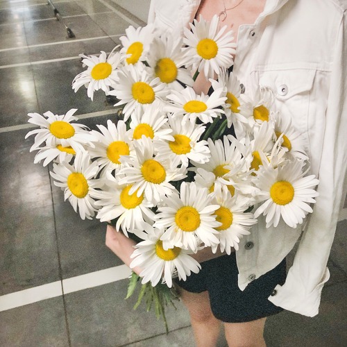 Букет из 25 крупных ромашек
