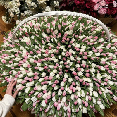 Корзина из 1001 бело-розового тюльпана