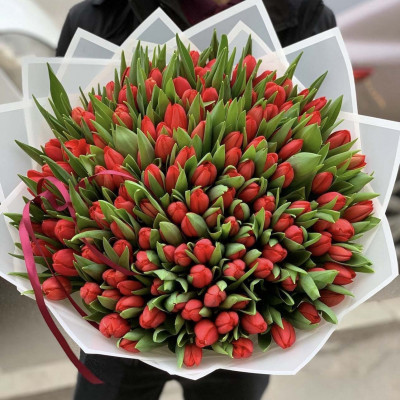 Букет из 151 красного тюльпана