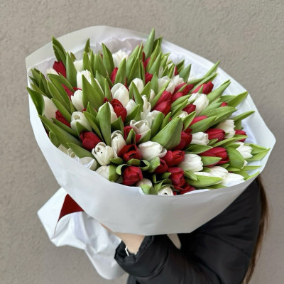 Букет из 75 красно-белых тюльпанов