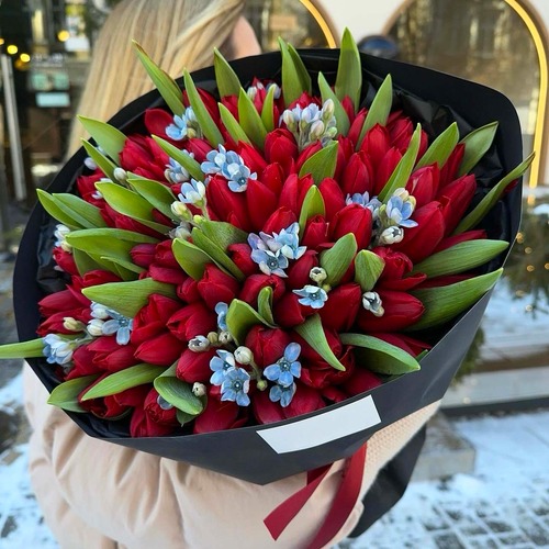 Букет из 51 красного тюльпана c незабудками