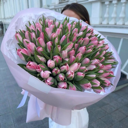 Букет из 101 нежно розового тюльпана