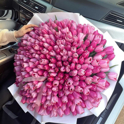 Букет из 201 розового тюльпана