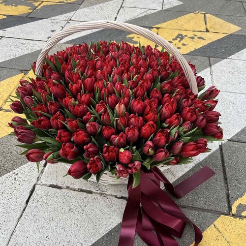 Корзина из 301  красного пионовидного тюльпана 
