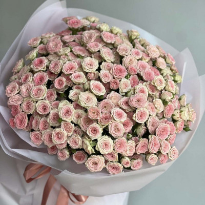Букет из 51 кустовой розы "Dinara"