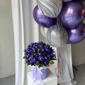 Коробка 49 фиолетовых ирисов