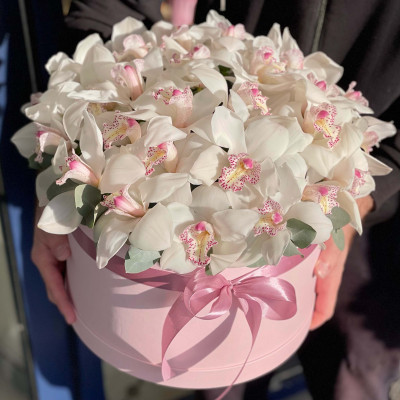 Коробка из 31 белой орхидеи