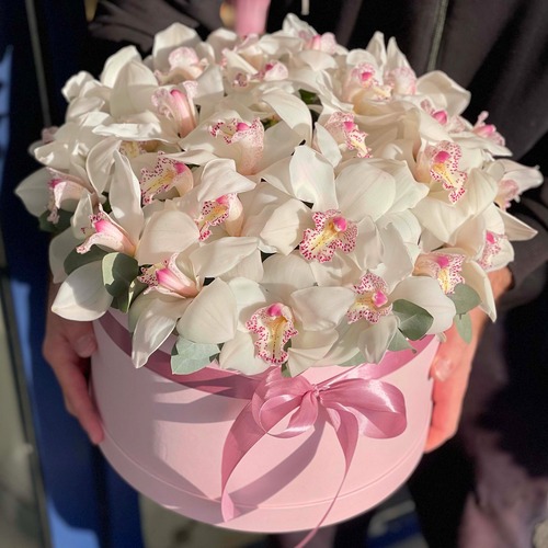 Коробка из 31 белой орхидеи