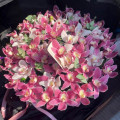 Коробка из 51 микс орхидеи